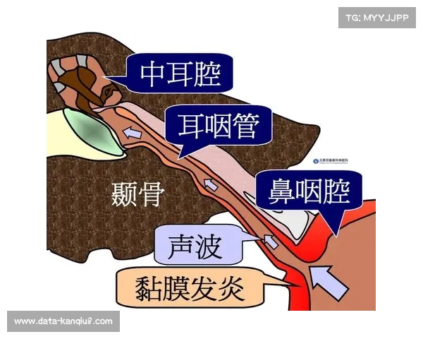 国际举联增设级别旨在减少极端减重健康风险